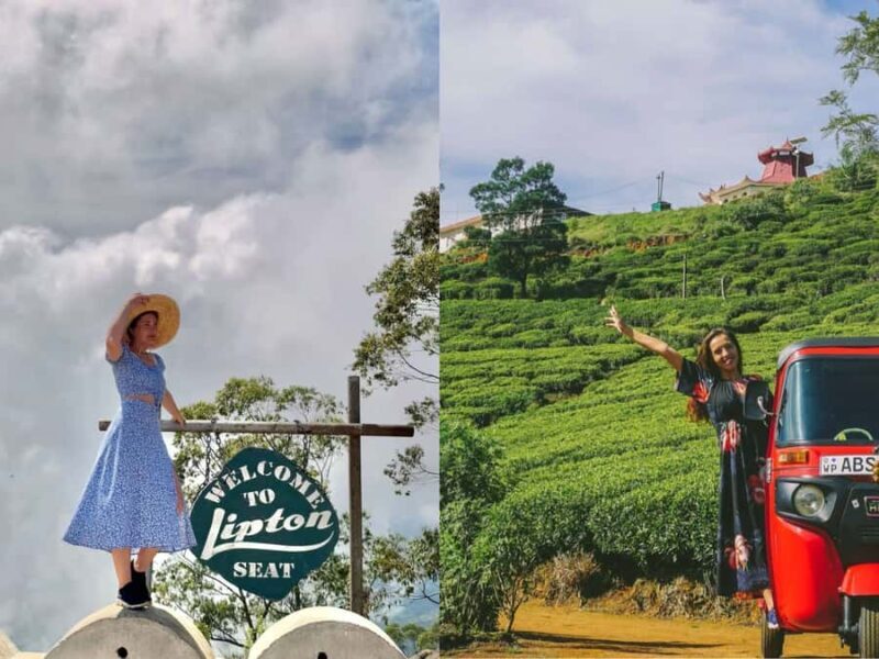 Lipton Seat Legacy: Tuk-Tuk & Train Tea Trails Tour - Key Points