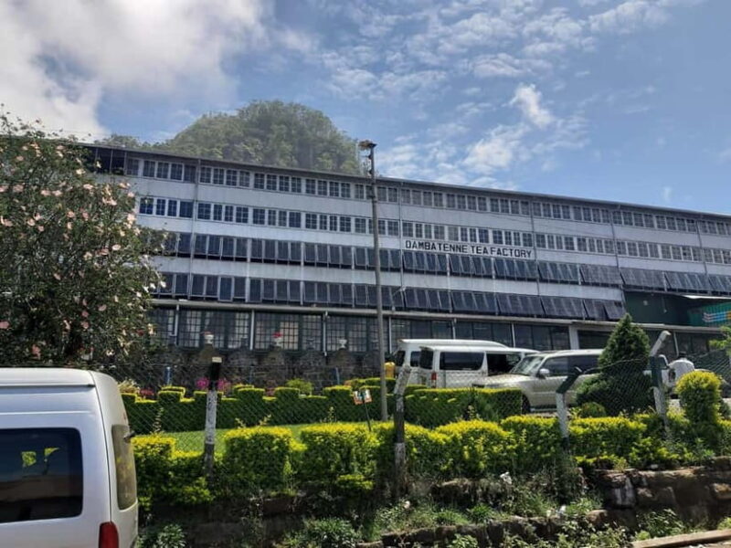 Lipton's Seat, Adisham Bungalow, Dambetenna Tea Factory Tour - Practical Considerations: What to Keep in Mind