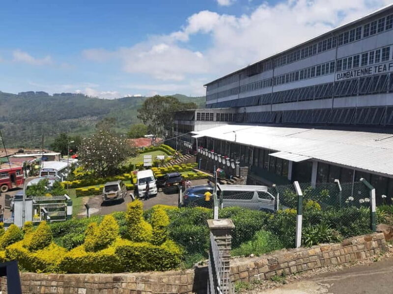 Lipton's Seat, Adisham Bungalow, Dambetenna Tea Factory Tour - Who Will Love This Tour?