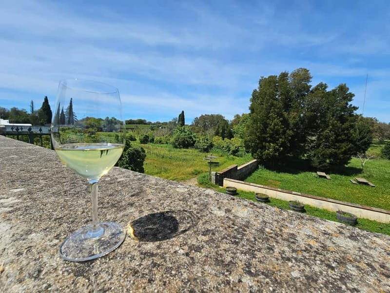 Lisboa: Évora, Cartuxa & Arraiolos Tour with Chapel of Bones - Scenic Views from Évoramonte and Arraiolos