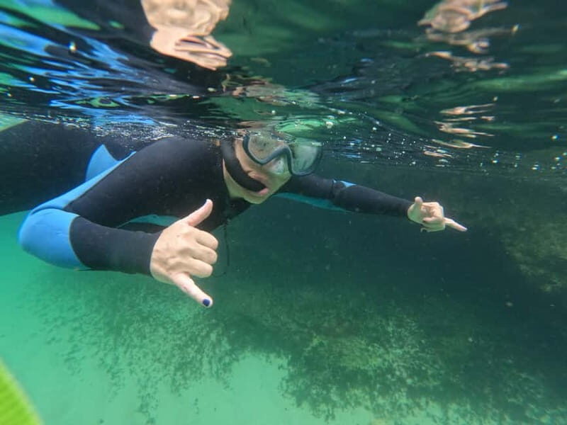 Lisboa: Snorkeling experience in Marine Reserve with photos - In The Sum Up