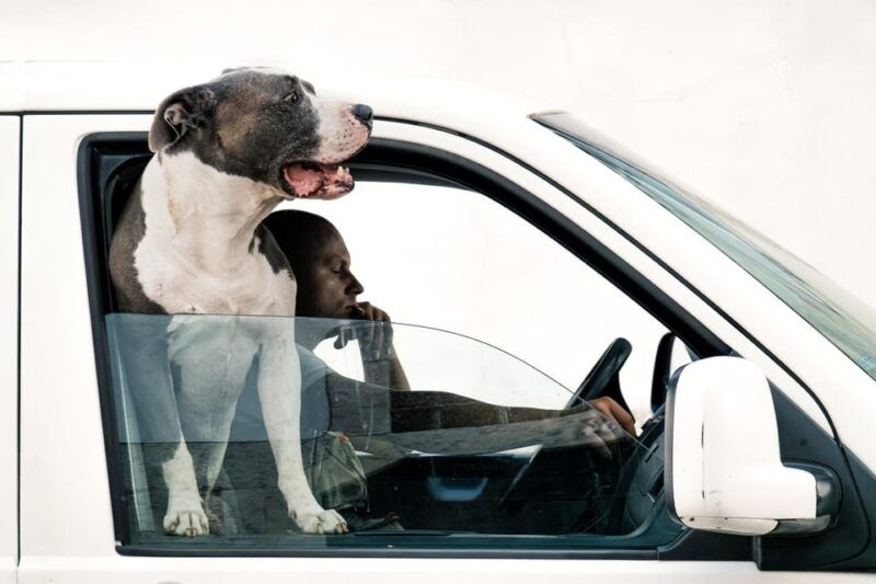 lisbon-2-day-magical-mystery-walkingtour-for-photographer