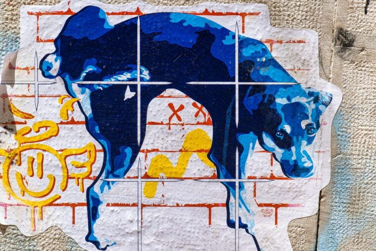 lisbon-2-day-magical-mystery-walkingtour-for-photographer