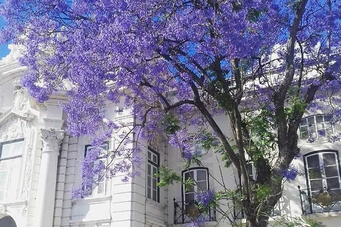 lisbon-3-hour-private-segway-cultural-tour-with-local-guide