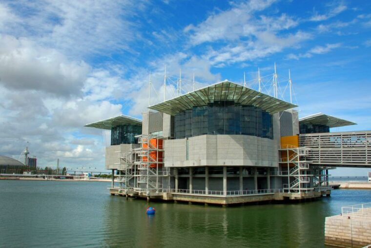 lisbon-3-in-1-hop-on-hop-off-bus-and-tram-tours