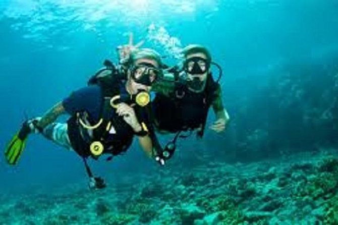 lisbon-active-tourism-diving-in-arrabida-sesimbra