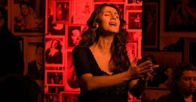 lisbon-alfama-tour-and-live-fado-with-traditional-dinner