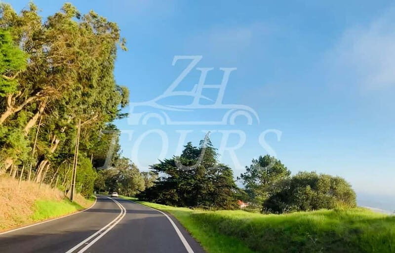 lisbon: algarve, benagil cave, portimao, Lagos private tour. - Final Words: Who Should Book This Tour?