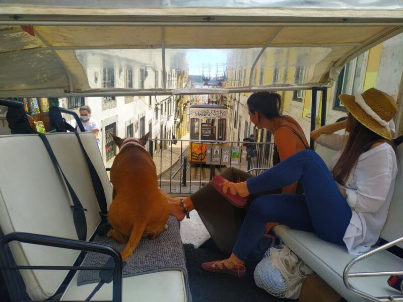 lisbon-all-city-premium-private-guided-tour-by-tuk-tuk