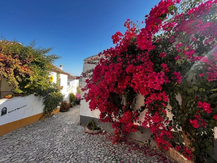 lisbon-and-obidos-private-day-trip-from-porto