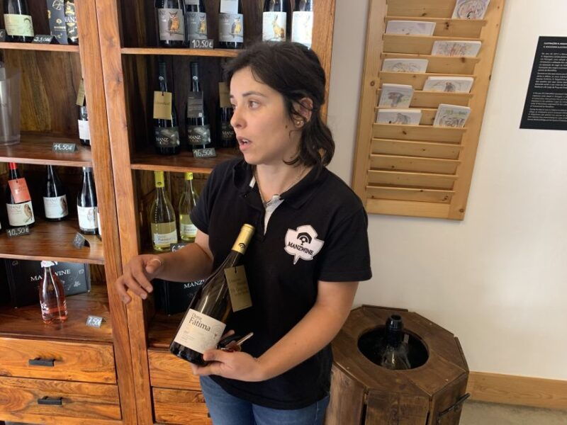 lisbon-area-wine-tour