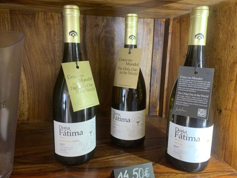 lisbon-area-wine-tour