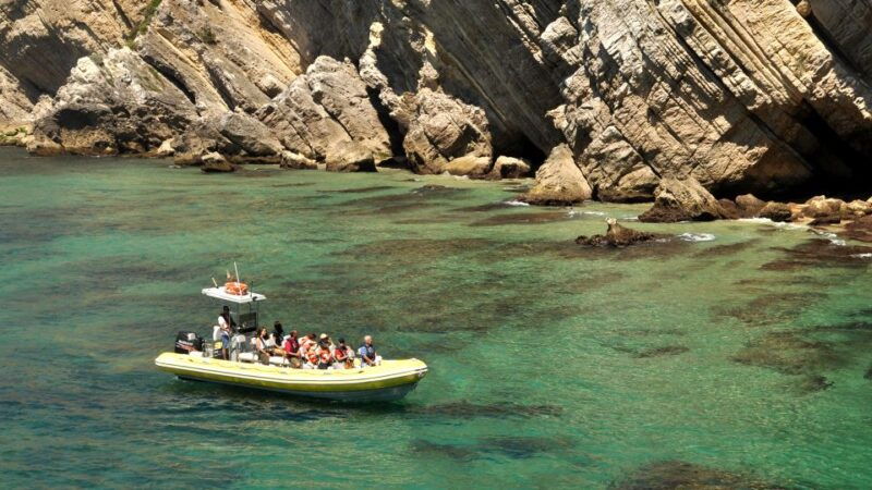 lisbon-arrabida-natural-park-dolphin-watching-boat-tour