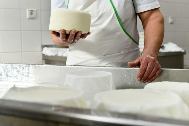 lisbon-azeitao-cheese-workshop-with-wine-food-tasting