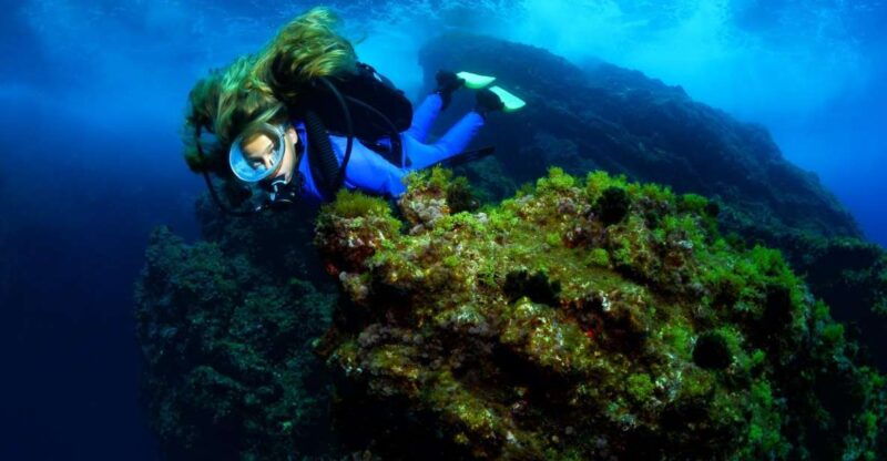 lisbon-become-a-scuba-diver-in-3-days