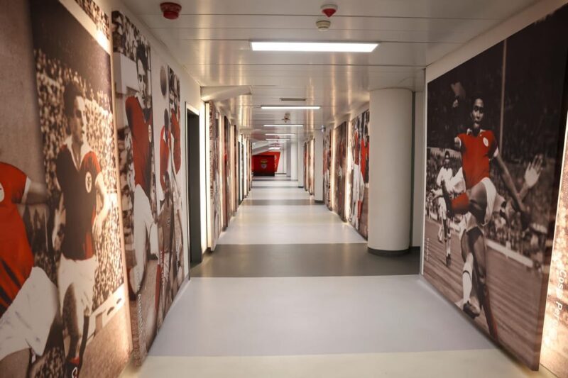 Lisbon: Benfica Luz Stadium Tour with Souvenir Scarf - The Sum Up  