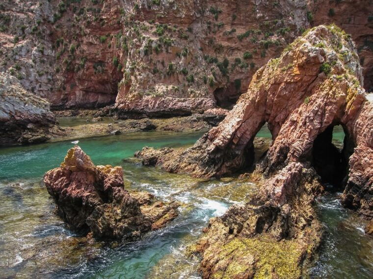 lisbon-berlenga-island-full-day-tour