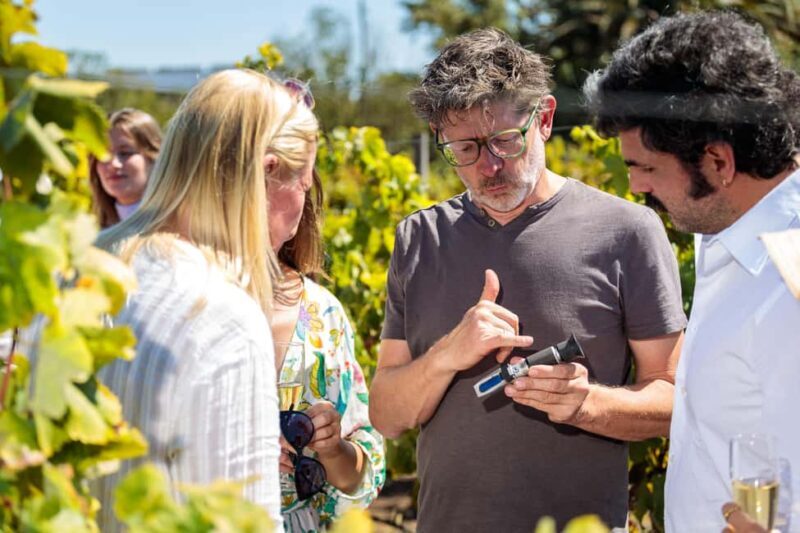 Lisbon: Carcavelos Vineyard Tour and Wine Tasting - Key Points