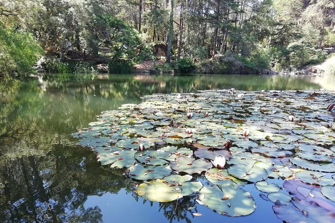 lisbon-cascais-and-sintra-private-guided-tour