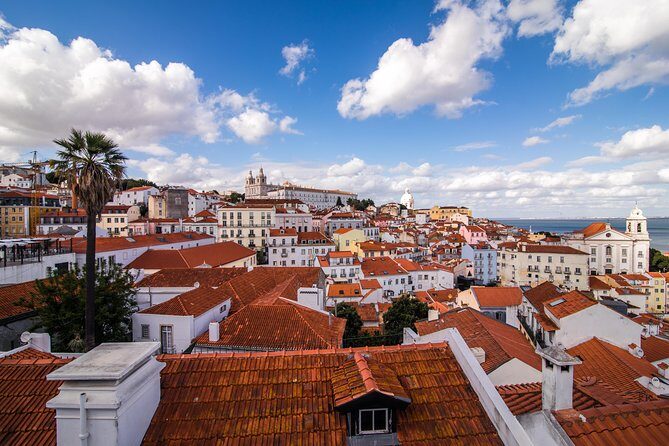 Lisbon City Introduction on a Private Tour - An Honest Look at the Lisbon City Introduction Tour