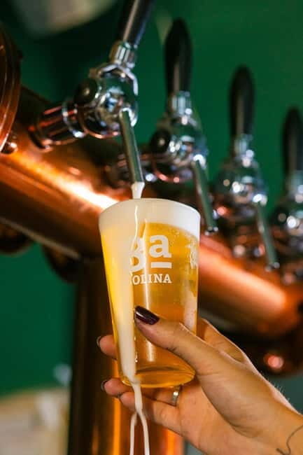 Lisbon: Craft Beer Tasting - Who Will Enjoy This the Most?