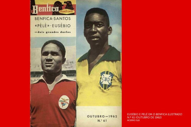 lisbon-customized-luz-stadium-and-guided-museum-tour