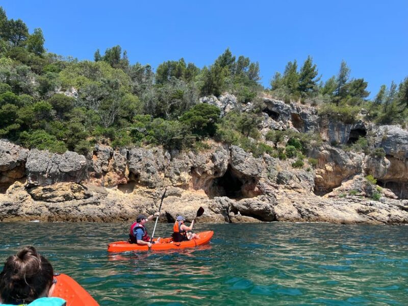 Lisbon: Discover Arrábida beaches by kayak - Who Will Love This Tour?