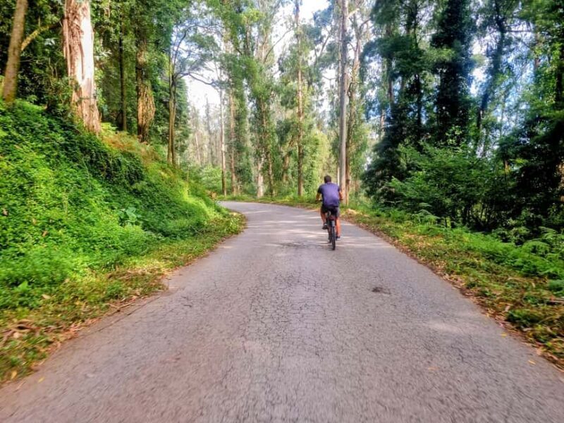 Lisbon: E-Bike Adventure to Belém & Monsanto com Degustação - FAQ