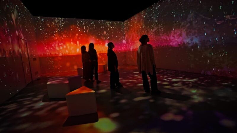 lisbon-experience-the-queen-of-fado-at-ah-amalia