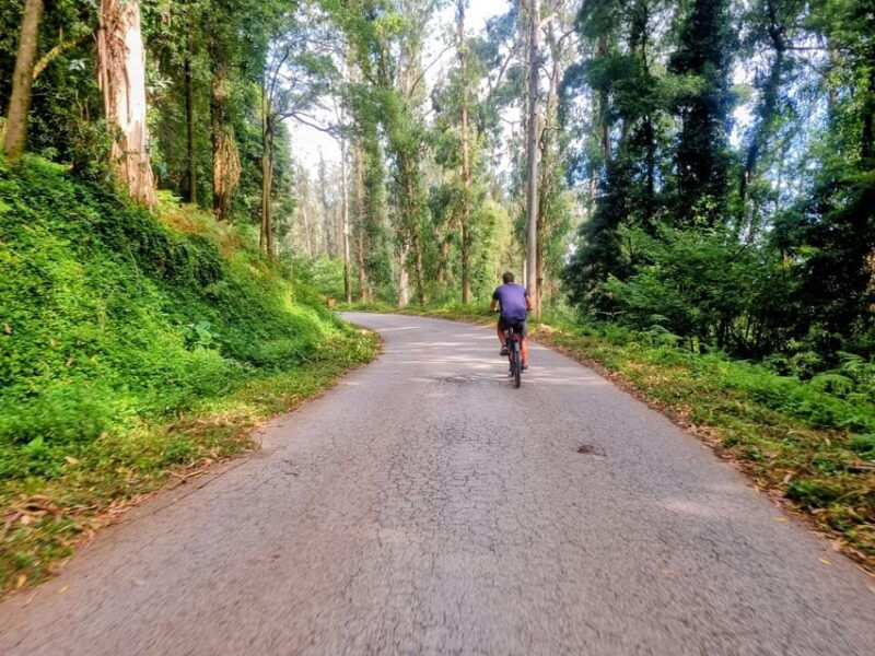 lisbon-explore-lisbons-green-lung-belem-by-e-bike