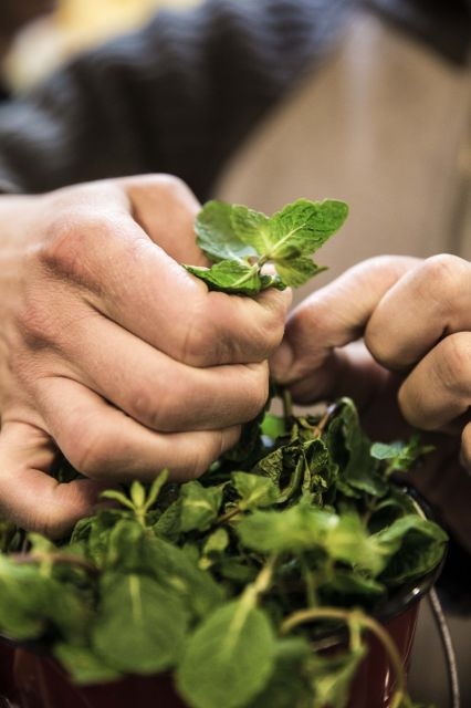 lisbon-food-and-culture-3-hour-walking-tour-2