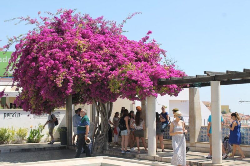 lisbon-full-day-private-walking-sightseeing-tour