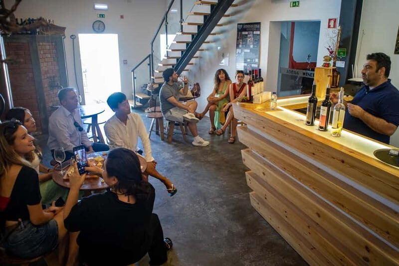 Lisbon: Full-Day Wine Tasting Tour in Setúbal ALL INCLUSIVE - Key Points