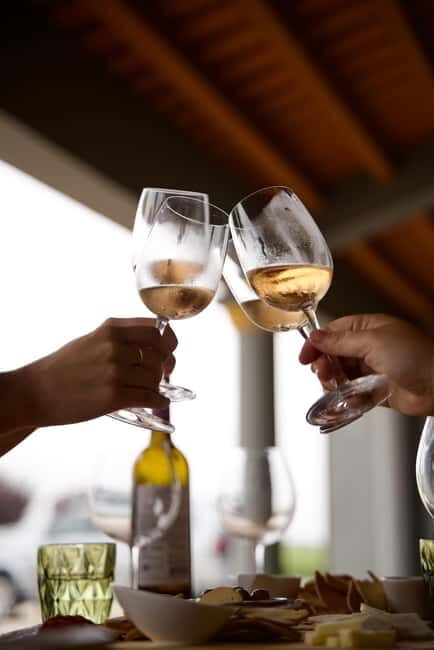 Lisbon: Full-Day Wine Tasting Tour in Setúbal ALL INCLUSIVE - Final Thoughts
