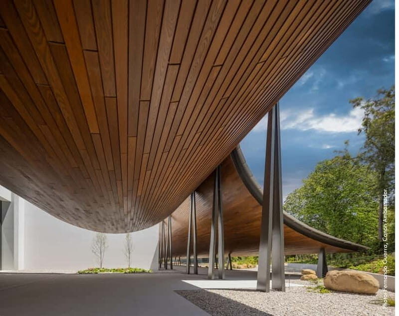 Lisbon: Gulbenkian Collection+Centro de Arte Moderna Ticket - Discovering Lisbon’s Artistic Heart: A Review of the Gulbenkian Collection + Centro de Arte Moderna Ticket