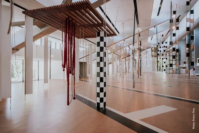 Lisbon: Gulbenkian Collection+Centro de Arte Moderna Ticket - An Introduction to the Calouste Gulbenkian Foundation