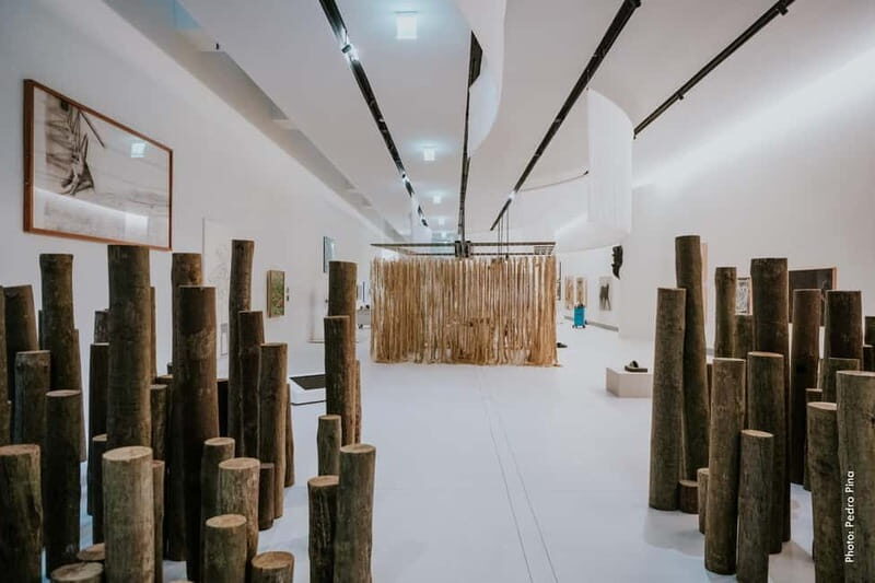 Lisbon: Gulbenkian Collection+Centro de Arte Moderna Ticket - Who Is This Tour Best For?