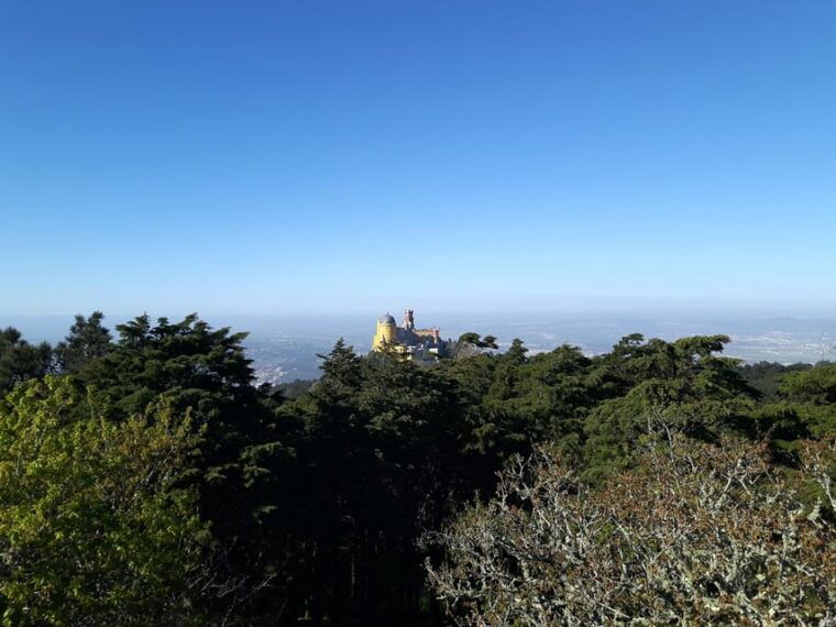 lisbon-half-day-sintra-tour-with-pena-palace-and-regaleira