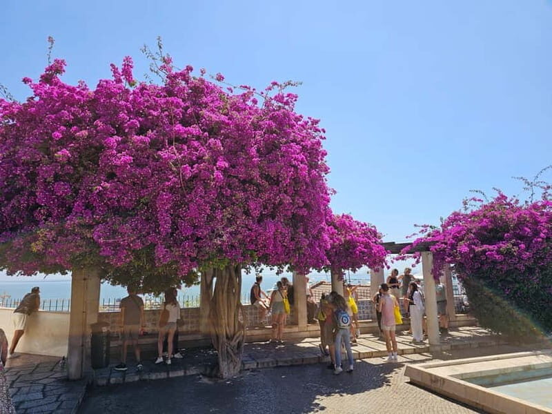 Lisbon: Highlights and History - Walking Tour with Tastings - FAQ