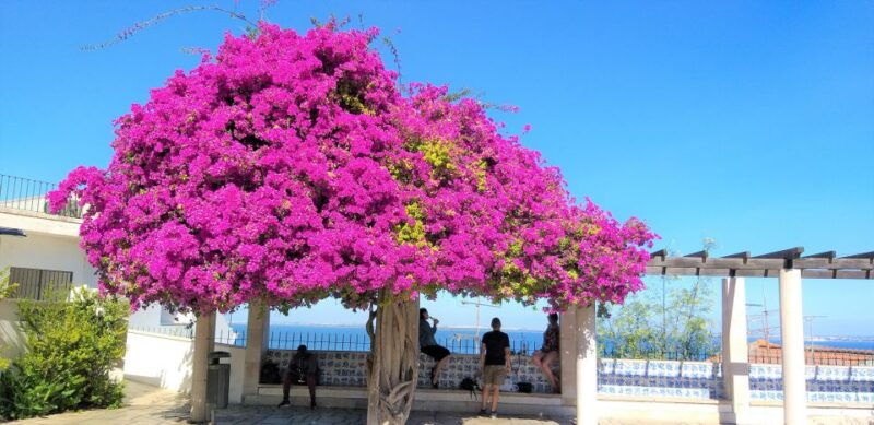 lisbon-highlights-tour-of-lisbon-sintra-and-cascais