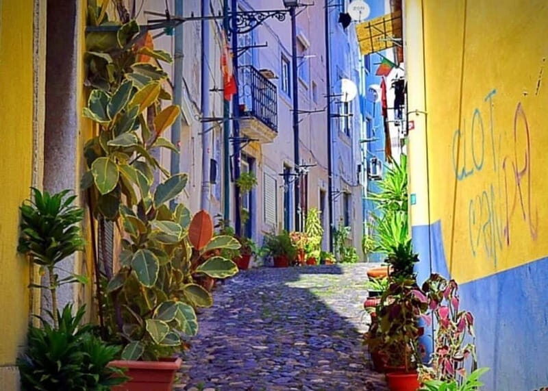 Lisbon Highlights Tuk Tuk Tour  Historic & Scenic Guide - Key Points