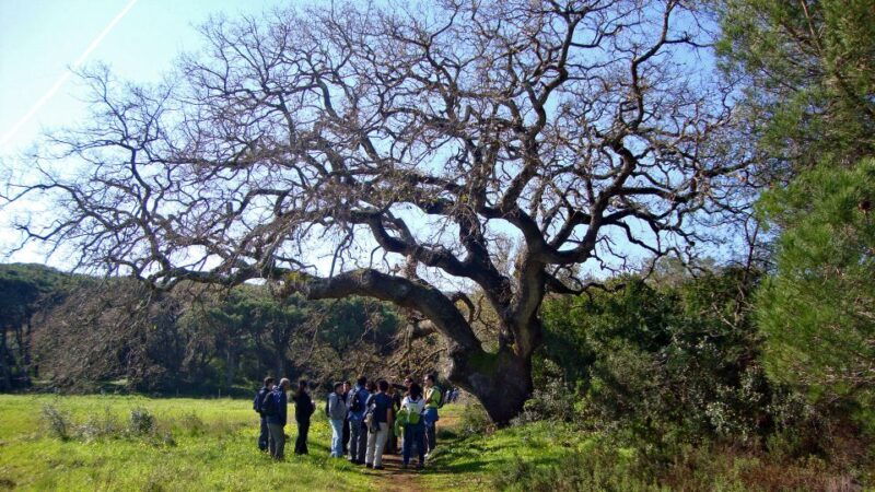 lisbon-hiking-in-arrabida-natural-park