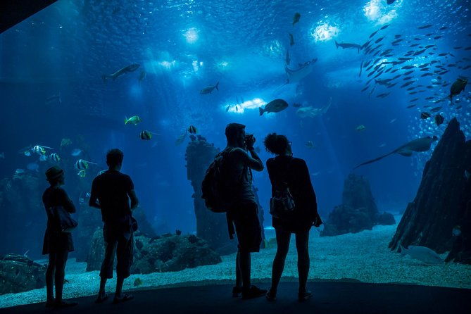 lisbon-hop-on-hop-off-bus-and-boat-tour-with-oceanario-ticket