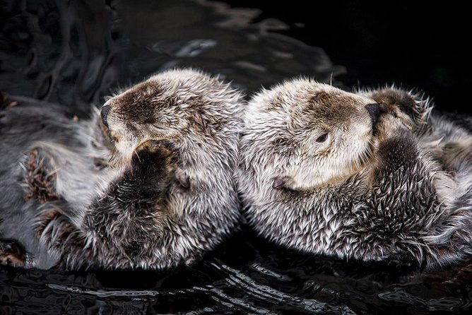 lisbon-hop-on-hop-off-bus-and-boat-tour-with-oceanario-ticket