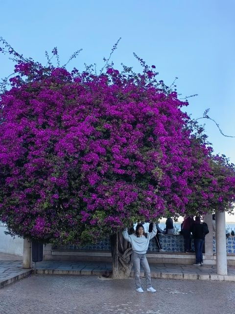 lisbon-hop-on-hop-off-sightseeing-tuktuk-tour