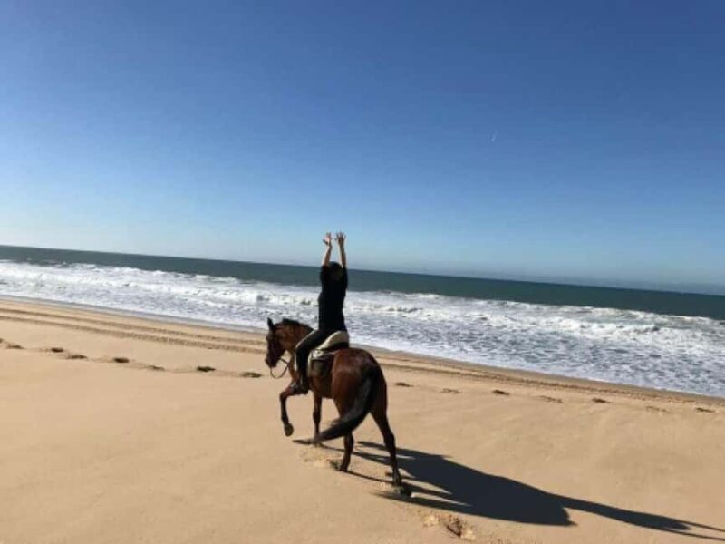Lisbon: Horse Riding at the Beach with Lunch - Key Points