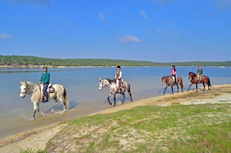 Lisbon: Horse Riding at the Beach with Lunch - An Authentic Ride Along Portugal’s Coastline