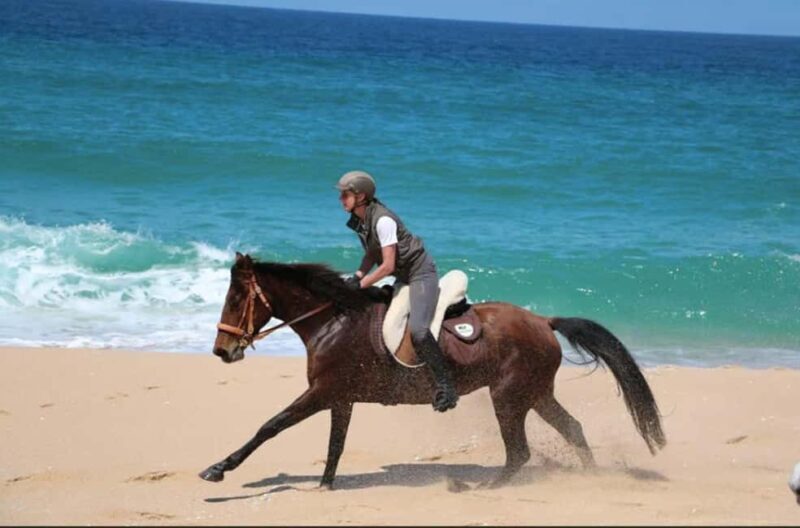 Lisbon: Horse Riding at the Beach with Lunch - The Seafood Lunch and Regional Cuisine