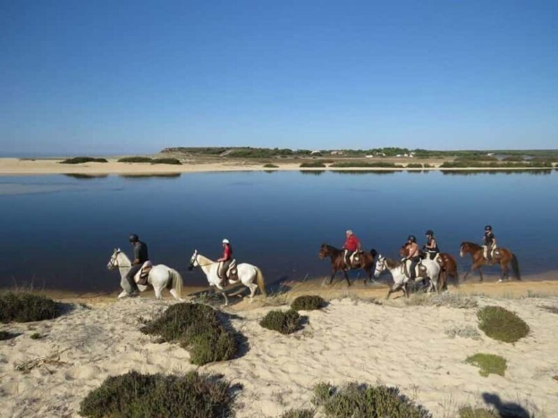 Lisbon: Horse Riding at the Beach with Lunch - Practical Details and Booking