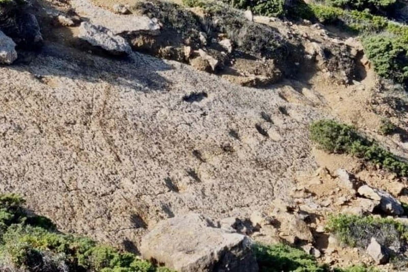 Lisbon - Jeep Tour Arrabida, Sesimbra & Dinossaur Footprints - Who Will Love This Tour?